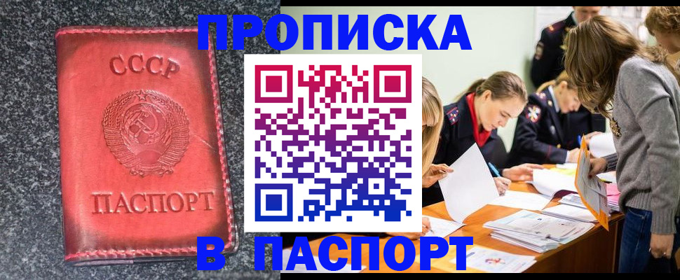 прописка для школы в Щёлкино